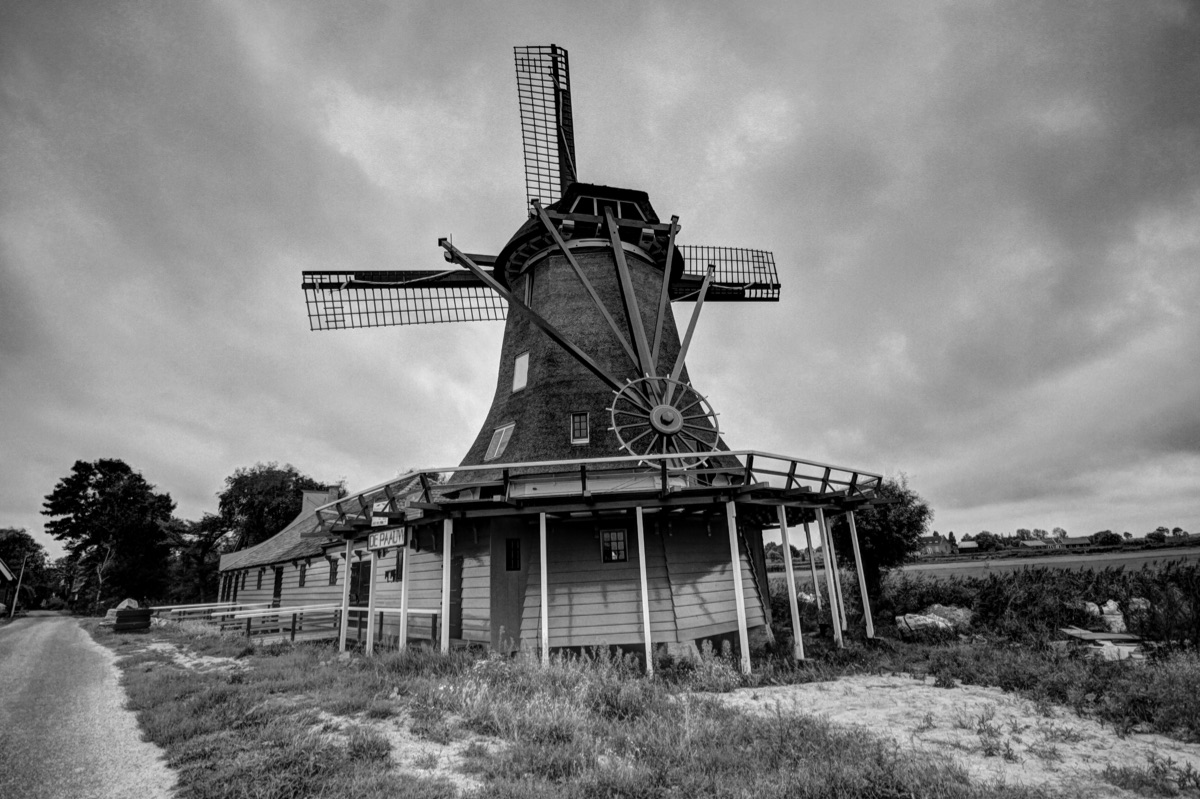  7D 9368And11more B&W Natural